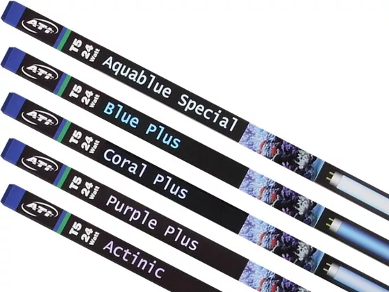 ATI T5 24 Watt Aquablue Special 55 cm